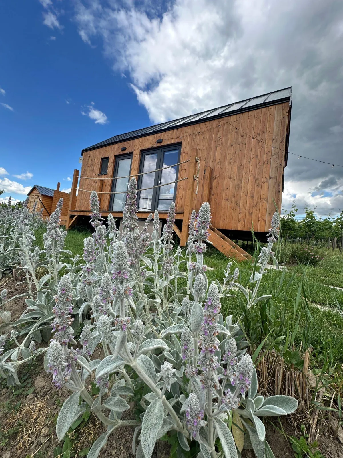 Tiny house Pálava — Foto 3