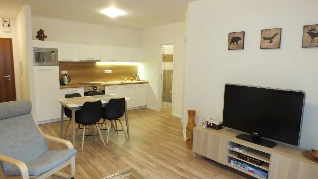 Apartmán Pohoda — photo 5