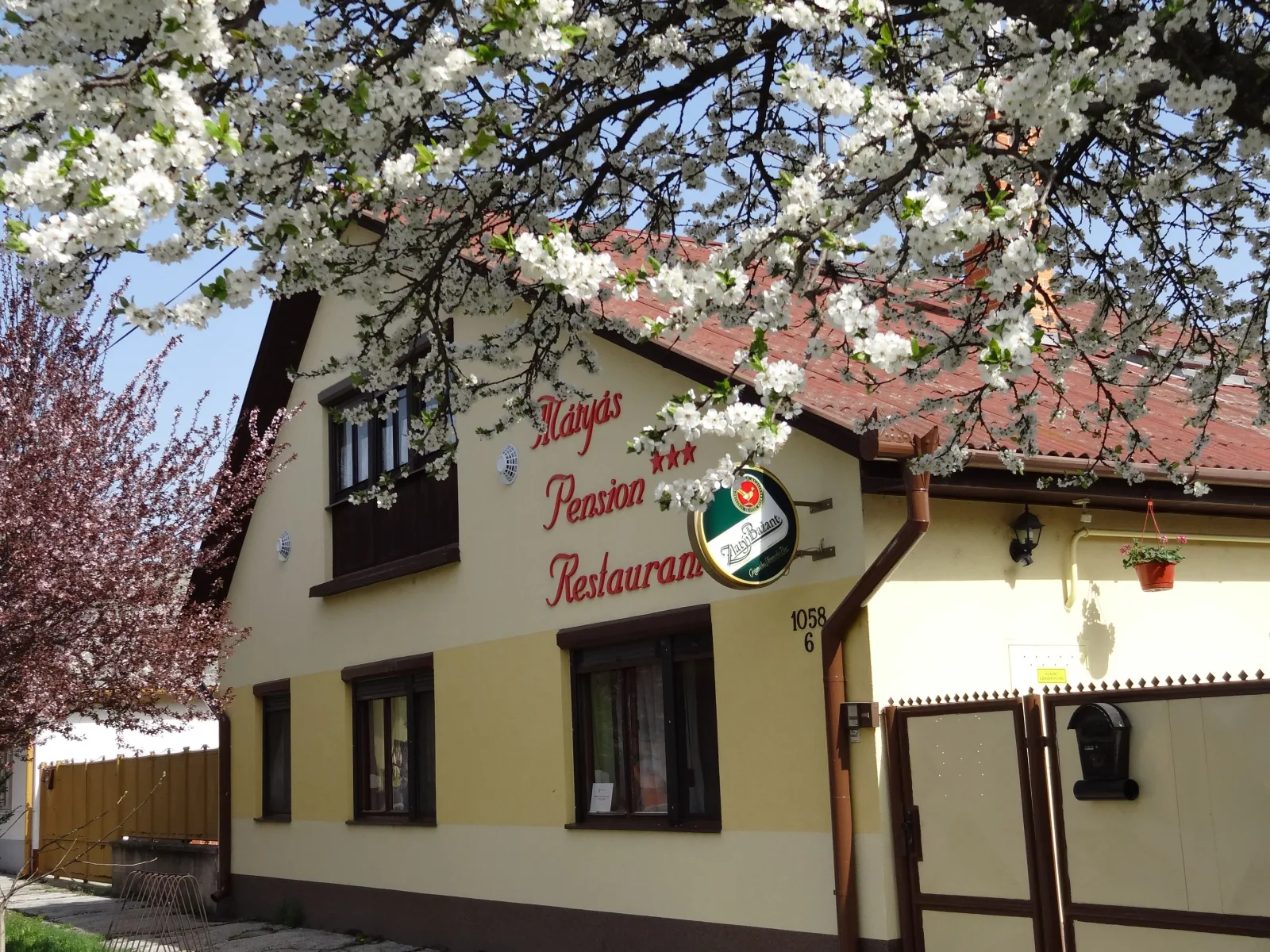 Mátyás pension Restaurant
