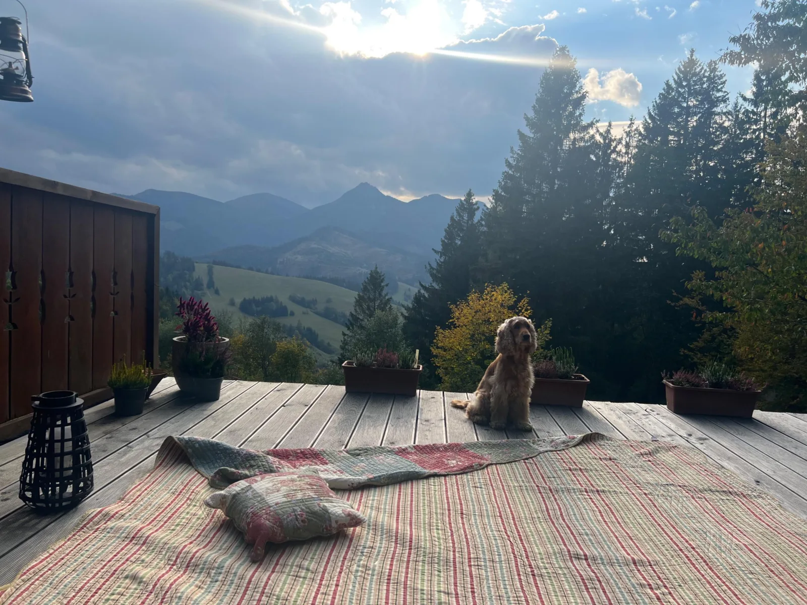 Romantická chata Zazka — foto 3