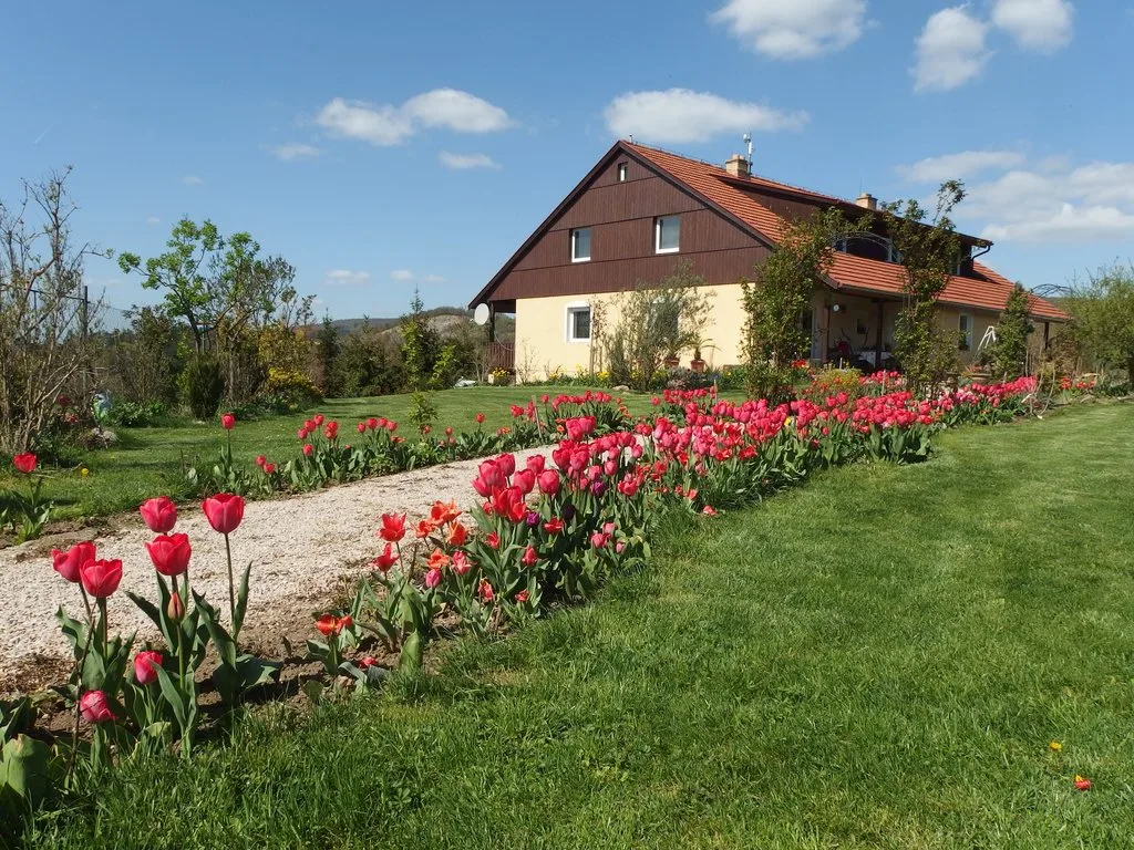 Apartmán Boroví