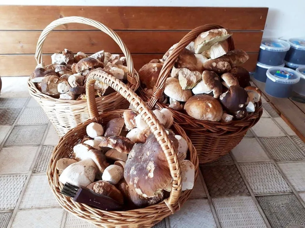 Apartmány u Michala — zdjęcie 5