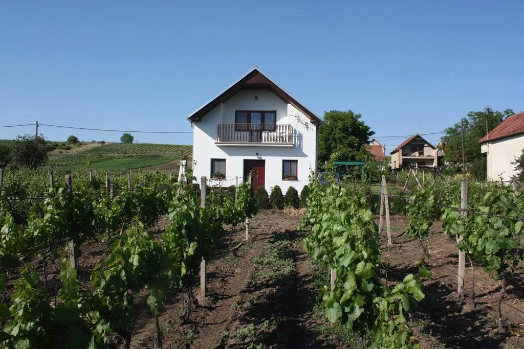 Ubytování Obzor — CABAÑA en Velké Bílovice