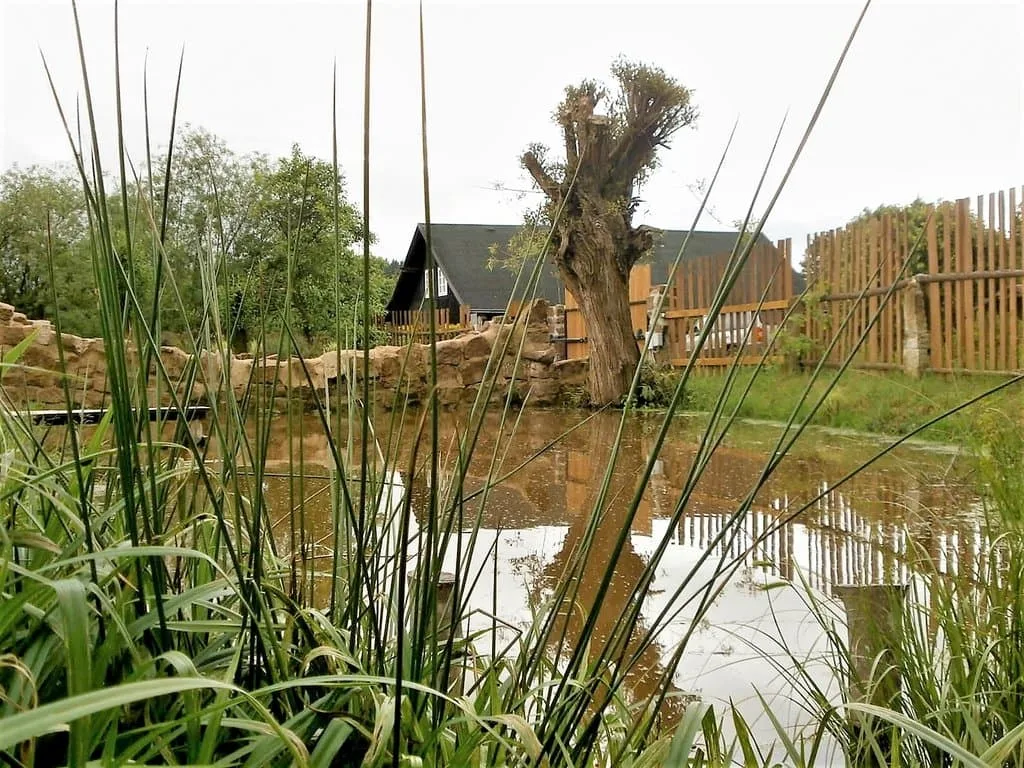 Farma Kotelsko — photo 3