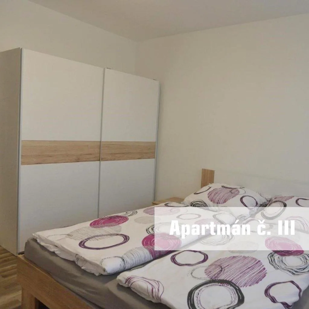 Apartmány U Koupaliště — zdjęcie 6