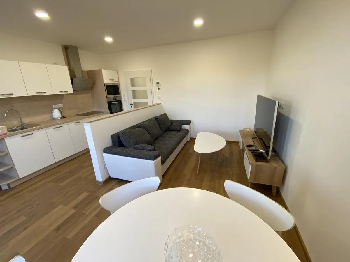 HARMONIA II Aparment Františkovy Lázně — photo 3